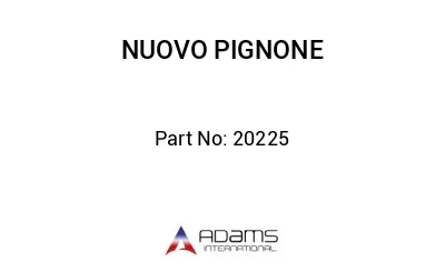 20225 20225