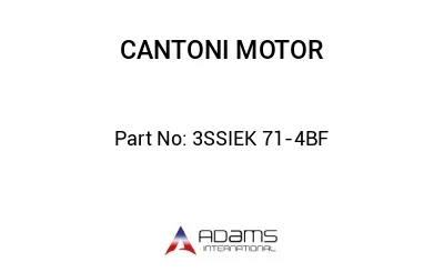 3SSIEK 71-4BF 3SSIEK 71-4BF