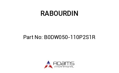 B0DW050-110P2S1R