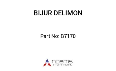 B7170 B7170