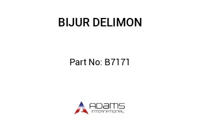 B7171 B7171