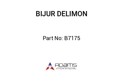B7175 B7175