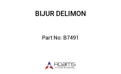 B7491 B7491