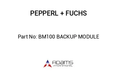 BM100 BACKUP MODULE BM100 BACKUP MODULE