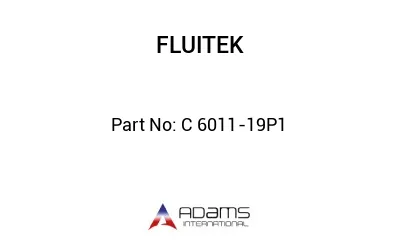 C 6011-19P1 C 6011-19P1