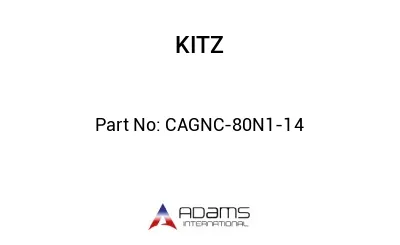 CAGNC-80N1-14 CAGNC-80N1-14