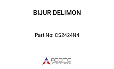CS2424N4 CS2424N4