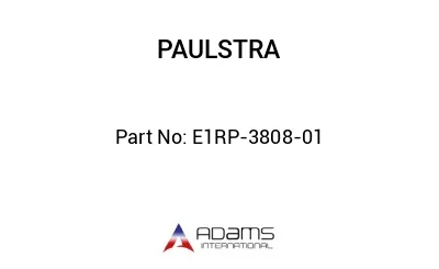 E1RP-3808-01 E1RP-3808-01