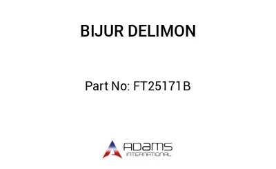 FT25171B FT25171B